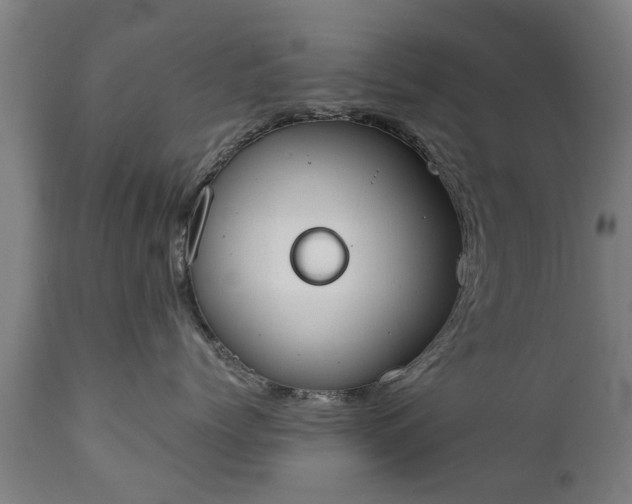 X0000111450768200907201049