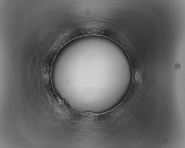 X0000111450771200907201048