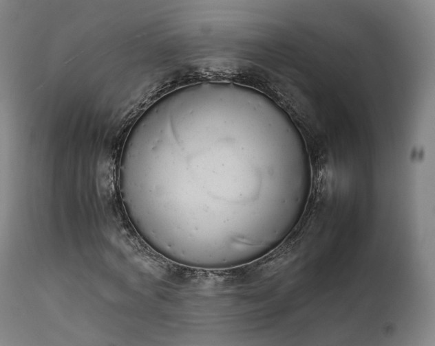 X0000111450772200907201048