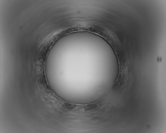 X0000111450773200907201048