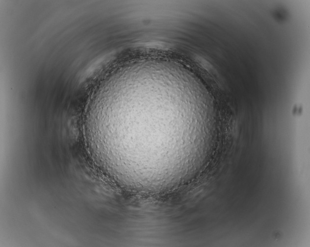 X0000111450774200907201048
