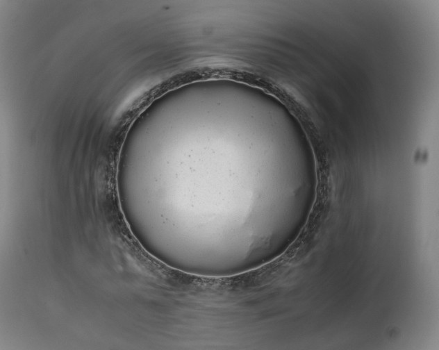X0000111450775200907201048