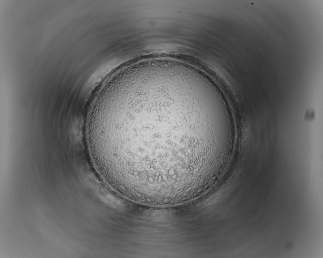 X0000111450778200907201048
