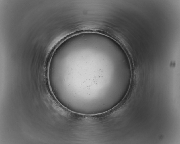 X0000111450779200907201048