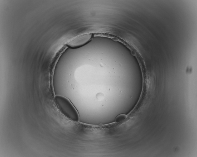 X0000111450781200907201048