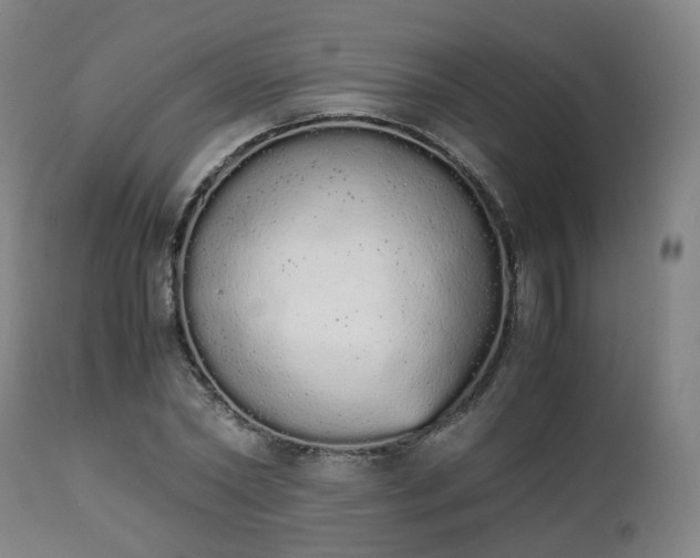 X0000111450782200907201048