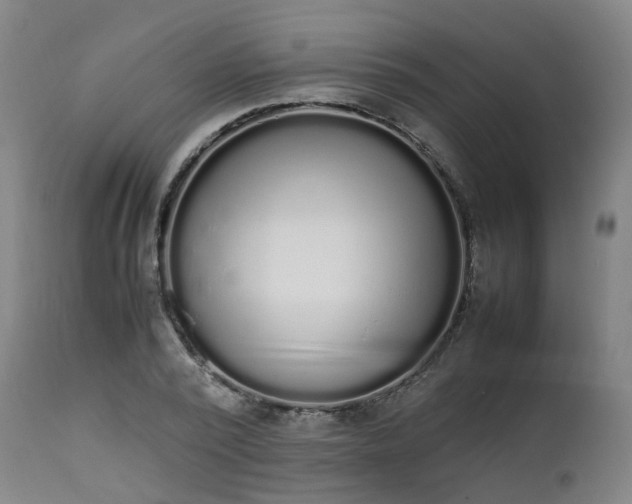 X0000111450784200907201048