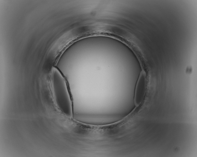 X0000111450785200907201048