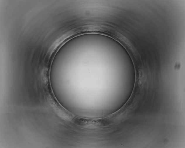 X0000111450786200907201048