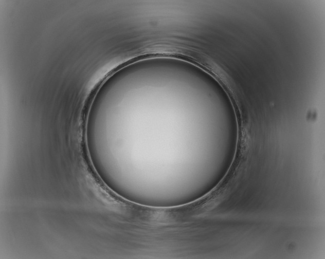 X0000111450787200907201048