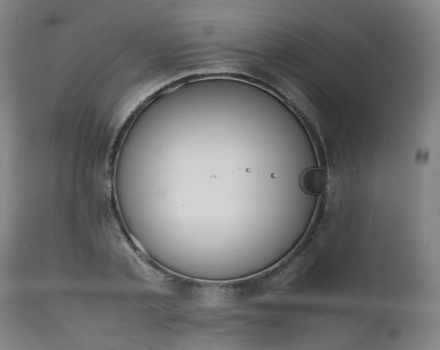 X0000111450789200907201048