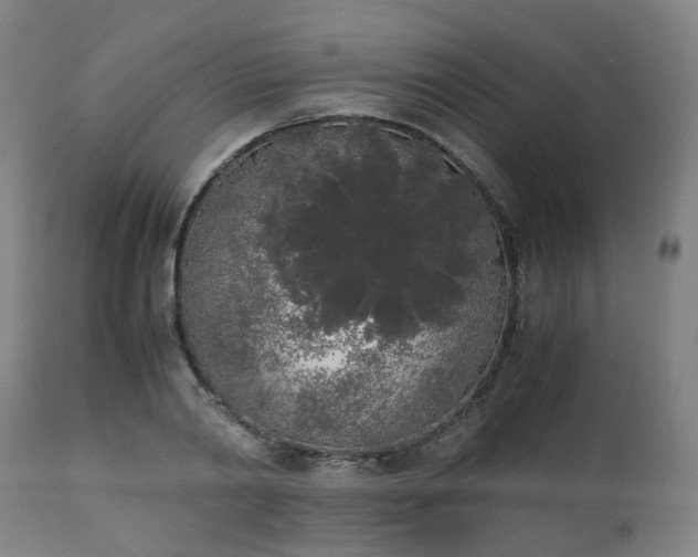 X0000111450790200907201048