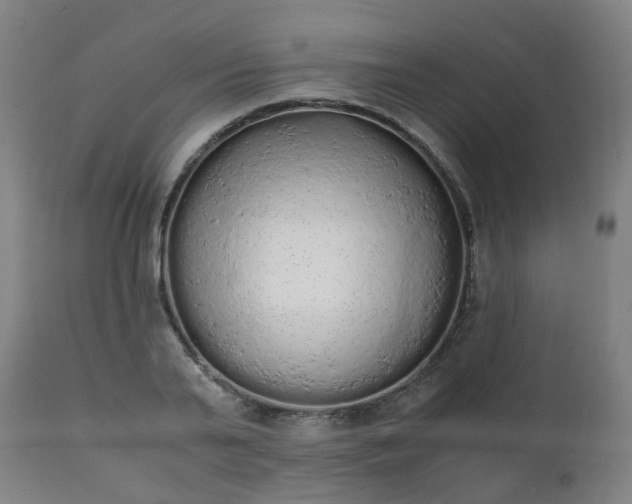 X0000111450791200907201048