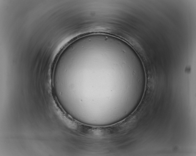 X0000111450792200907201048