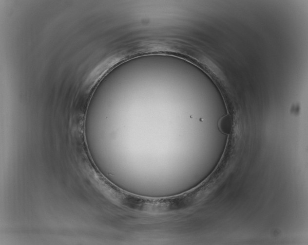 X0000111450793200907201048