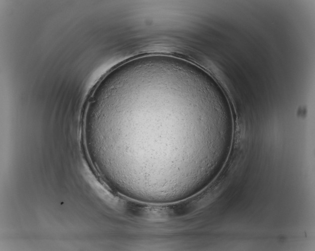 X0000111450795200907201048