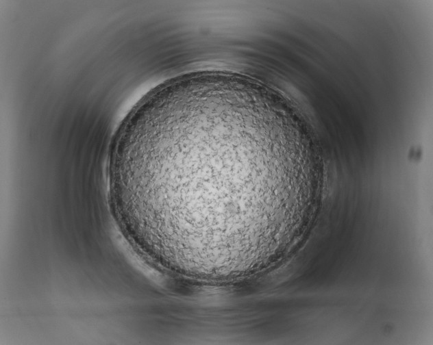 X0000111450796200907201048