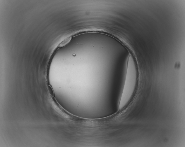 X0000111450797200907201048