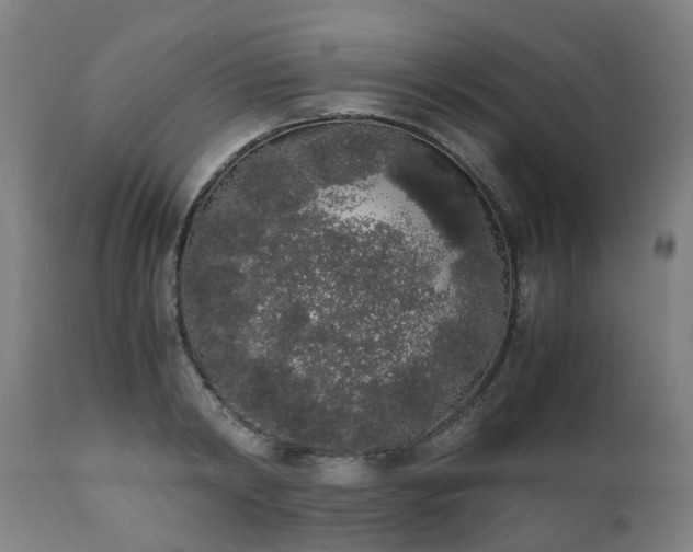 X0000111450798200907201048