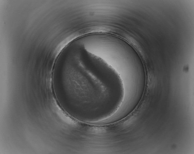 X0000111450802200907201048