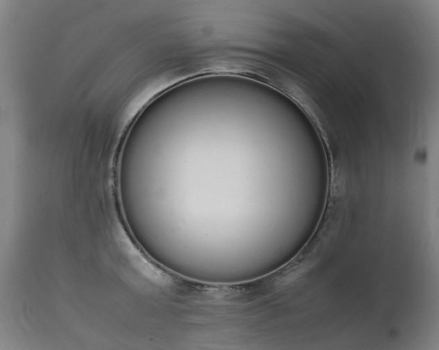 X0000111450803200907201048