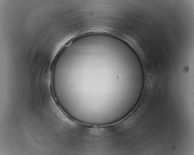 X0000111450804200907201048