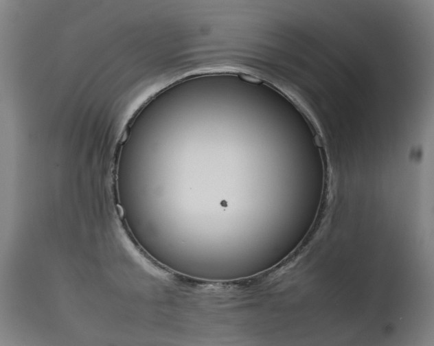 X0000111450805200907201048