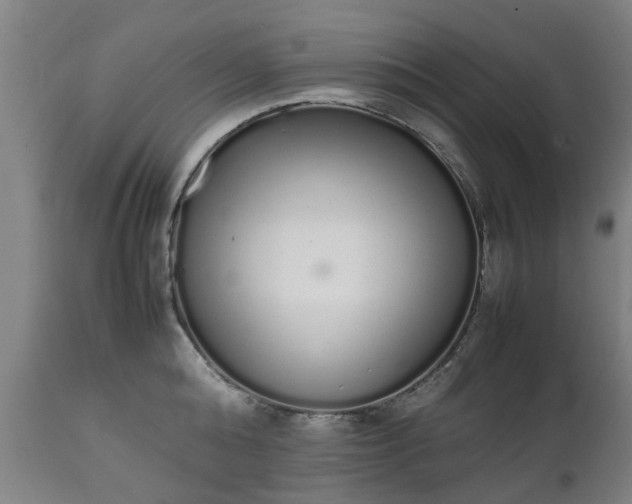 X0000111450808200907201047