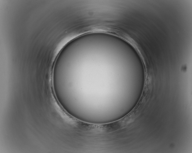 X0000111450811200907201047