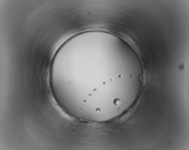 X0000111450812200907201047