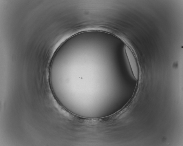 X0000111450813200907201047