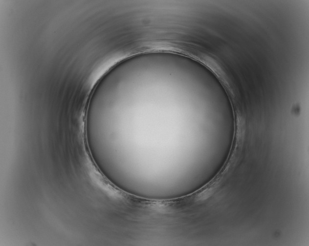 X0000111450814200907201047