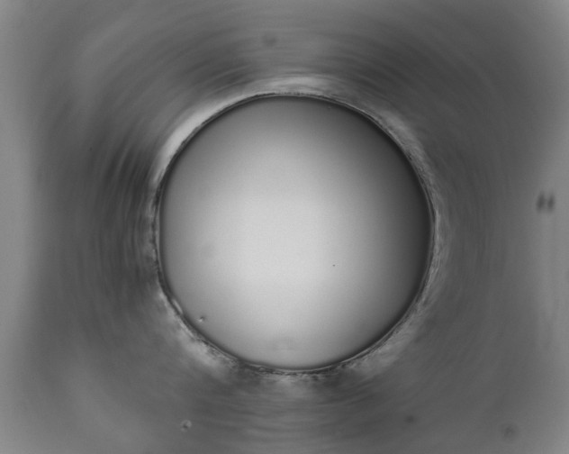 X0000111450816200907201047