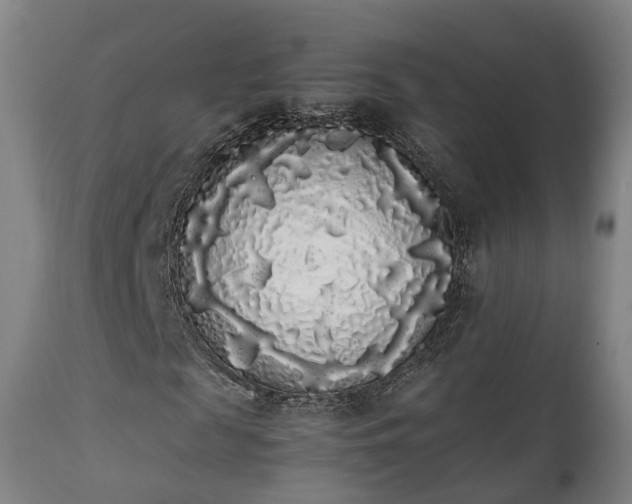 X0000111450817200907201047