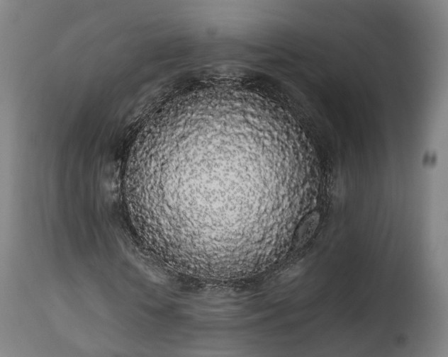 X0000111450818200907201047