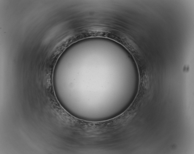 X0000111450821200907201047