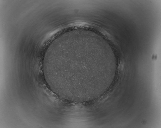 X0000111450822200907201047