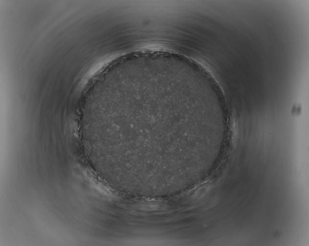 X0000111450823200907201047