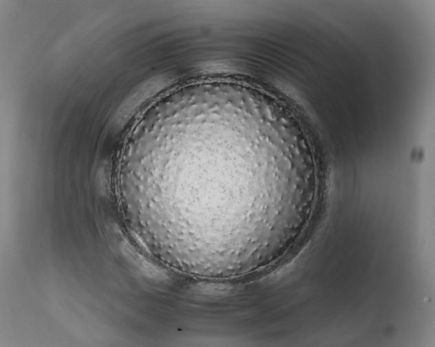 X0000111450825200907201047