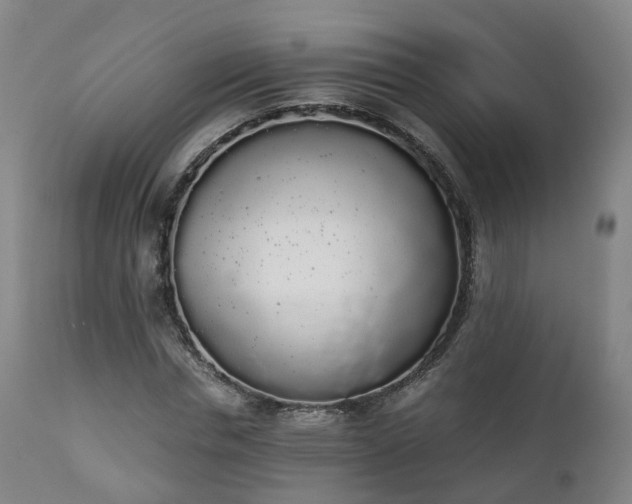 X0000111450826200907201047