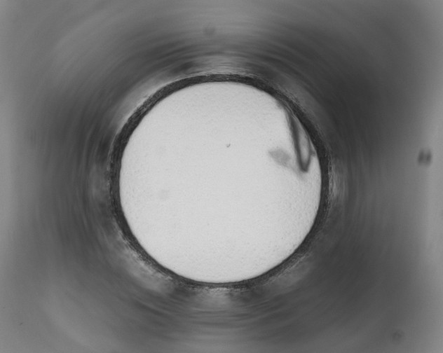 X0000111450828200907201047