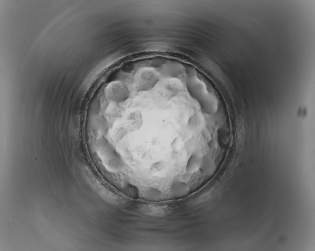 X0000111450831200907201047