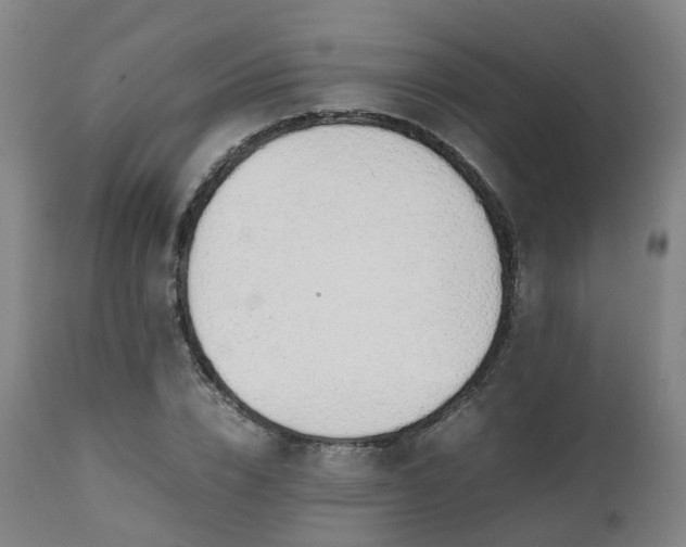 X0000111450832200907201047