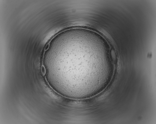 X0000111450834200907201047