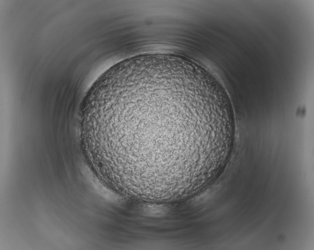 X0000111450835200907201047
