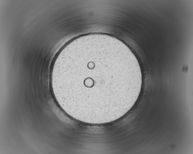 X0000111450836200907201047