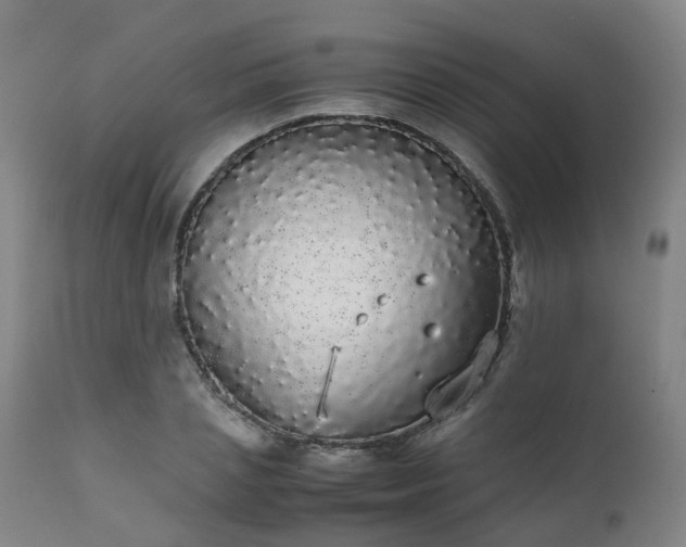 X0000111450837200907201047
