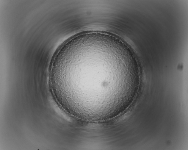 X0000111450840200907201047