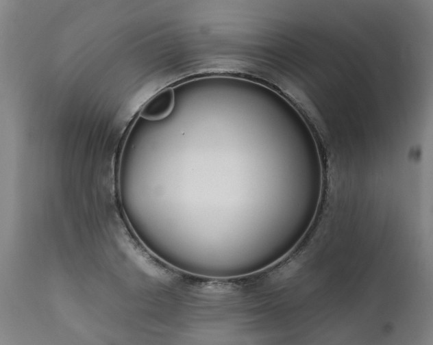 X0000111450842200907201047