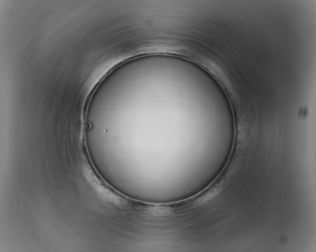 X0000111450844200907201047